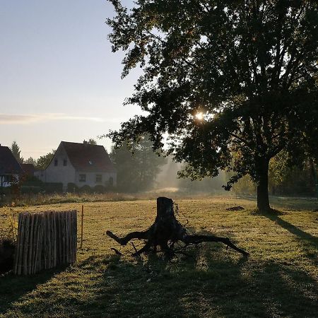 Ferienwohnung & Campingplatz Vor Dem Berg Heideblick Екстериор снимка