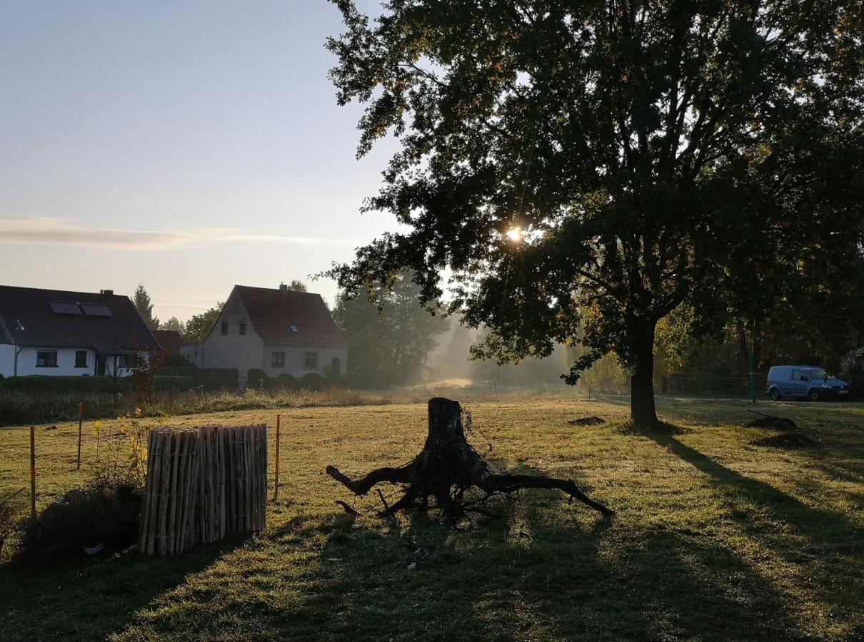 Ferienwohnung & Campingplatz Vor Dem Berg Heideblick Екстериор снимка