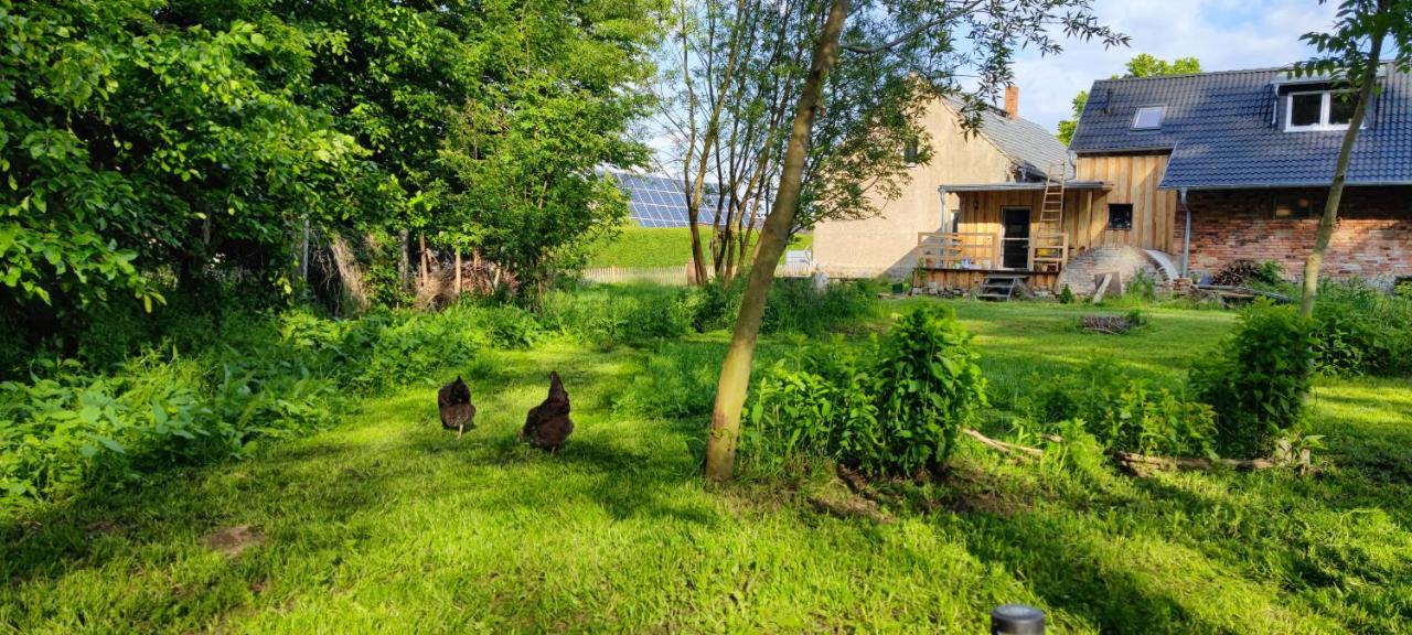 Ferienwohnung & Campingplatz Vor Dem Berg Heideblick Екстериор снимка